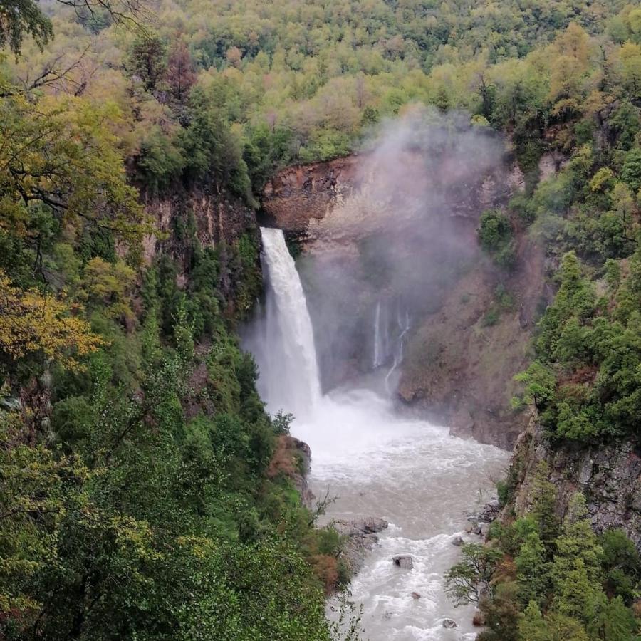 モリーナ Refugio Del Salto -Radal 7 Tazasヴィラ エクステリア 写真
