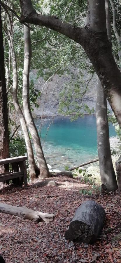 モリーナ Refugio Del Salto -Radal 7 Tazasヴィラ エクステリア 写真