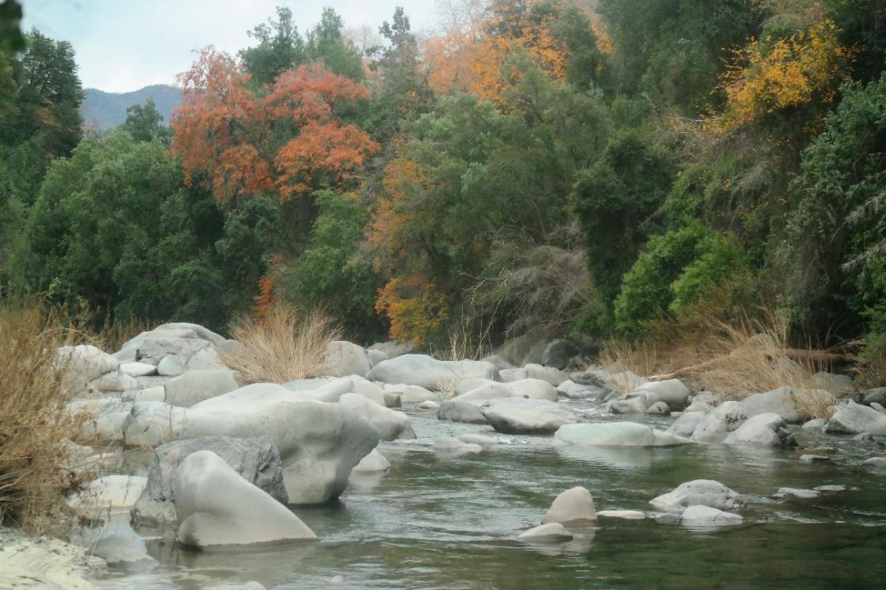 モリーナ Refugio Del Salto -Radal 7 Tazasヴィラ エクステリア 写真