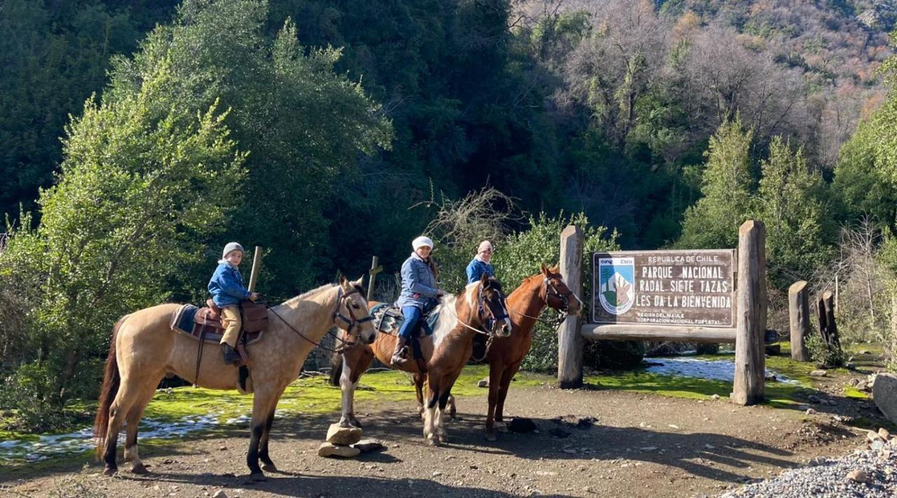 モリーナ Refugio Del Salto -Radal 7 Tazasヴィラ エクステリア 写真