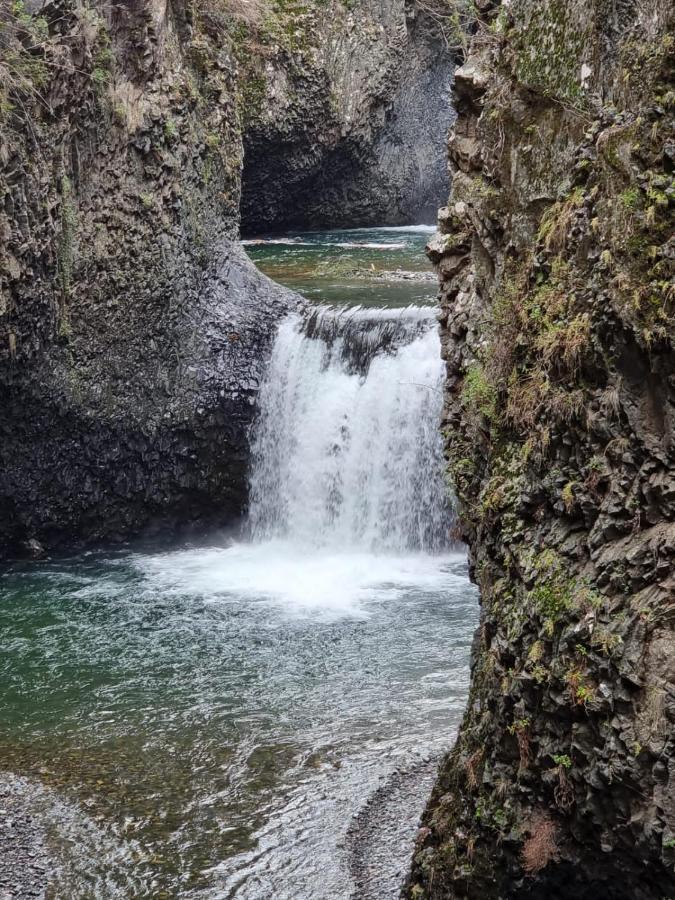 モリーナ Refugio Del Salto -Radal 7 Tazasヴィラ エクステリア 写真